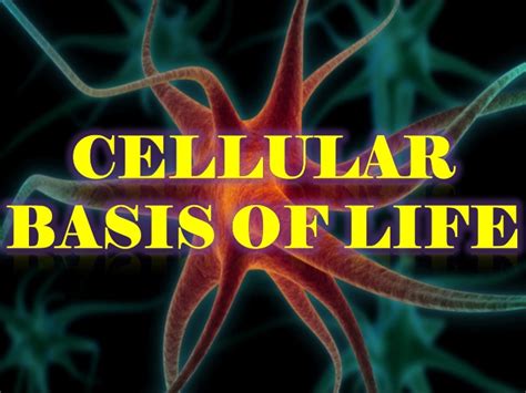 7.1 life is cellular lesson objectives state the cell theory. 3. cellular basis of life