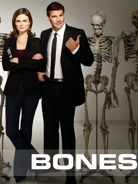 Casting Bones Saison 8 Allociné