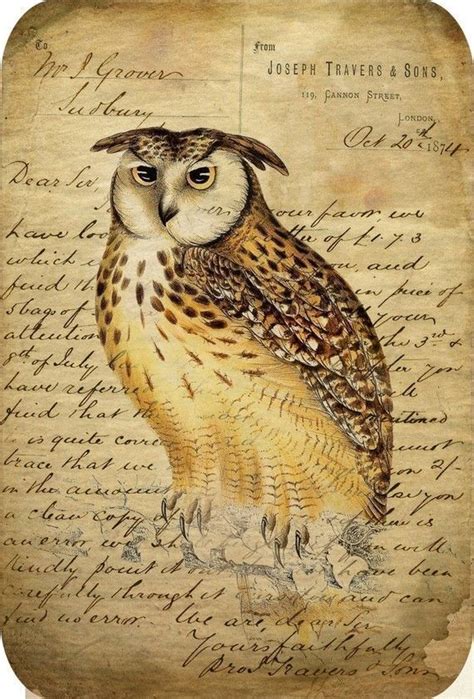 Unknown Artist Owl Art Owl Vintage Images