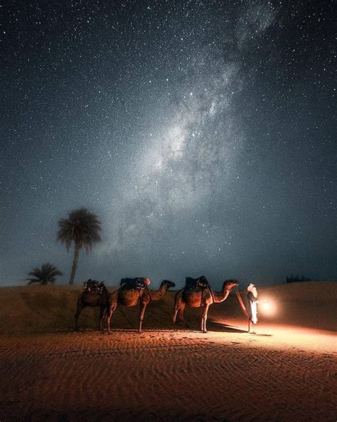 Sahara Camel Night Wallpapers Wallpaper Cave