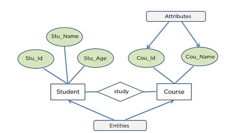 Entity Relationship And It S Components