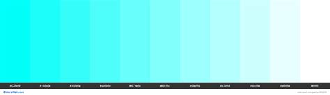Actuariammunofluorescent Aqua Colors Palette Colorswall