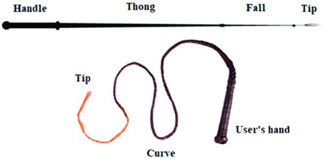 Basic Elements Of A Whip Download Scientific Diagram