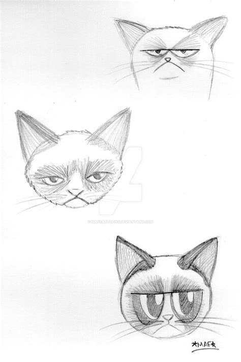 Grumpy Cats By Mafcartoons On Deviantart