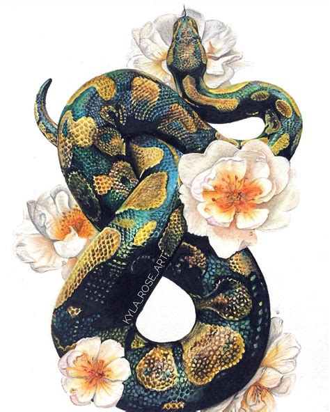 Snake Art Print Snake Art Kawaii Drawings Color Pencil Drawing