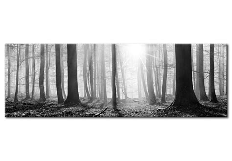 Canvas Painting Nature Black And White Forest Forest Landscapes