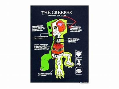 Creeper Diagram Minecraft Face Draw Drawing Showme
