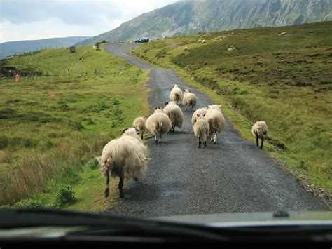 Auto insurance coverage recommendations from the experts. Ask Wendy: Do You Need Extra Rental Car Insurance in ...