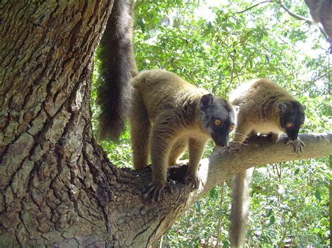 Maybe you would like to learn more about one of these? Poverty in Mayotte