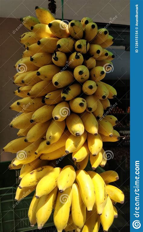 Cluster Of Fully Riped Banana Stock Photo Image Of Fully Close