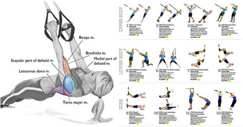 Trx Workouts Trx Workout Plan Trx Full Body Workout