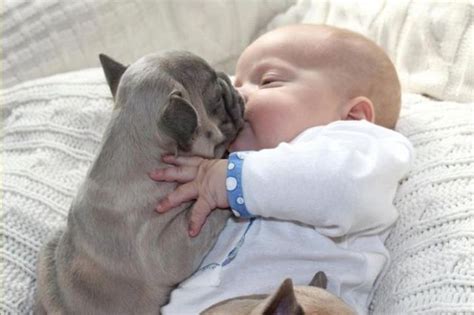 Baby And Puppies 7 Pics