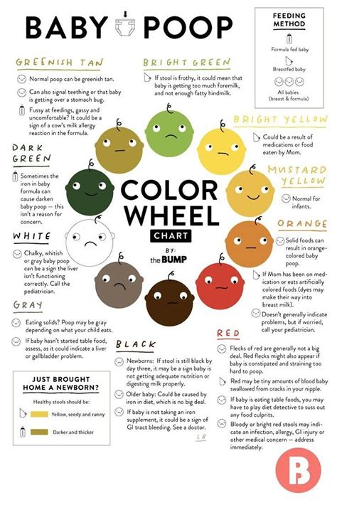 What Does Baby Poop Color Mean Chart And Guide How Well Do You Know