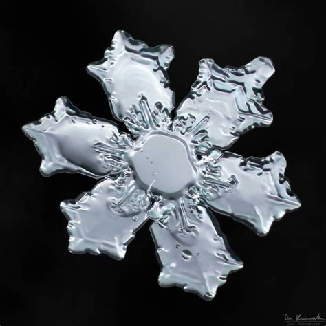 Pin By Adela María On Snowflakes Snowflakes Snow Crystal Crystal Growth