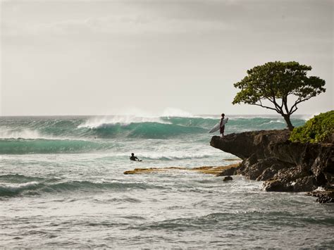 Turtle Bay Resort Nuvo