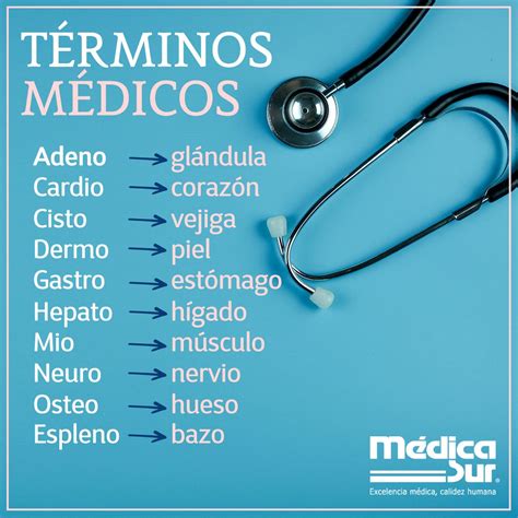 Toda la terminologia medica que todo personal de salud debe conocer terminología médica sufijos sufijos que indican un diagnóstico un síntoma sufijo significado. Pin en Datos médicos