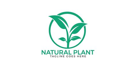 Natural Plant Logo Design By Ikalvi Codester