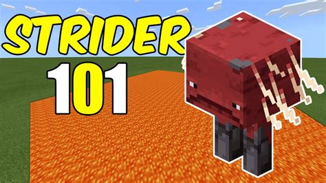 Everything You Need To Know About The Strider New Mob In Minecraft
