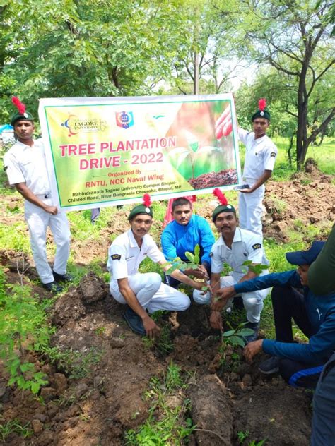 Tree Plantation India NCC