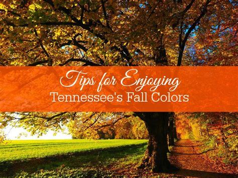 A Nashville Concierge Gives Tips To Enjoy Tennessees Fall Colors