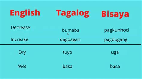 Opposite Words In Tagalog And Bisaya With English Translation Learn