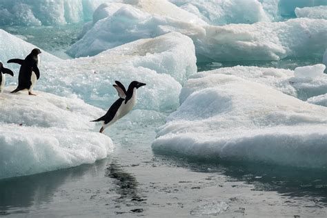 Antarctica Is Changing The Impact Could Be Catastrophic