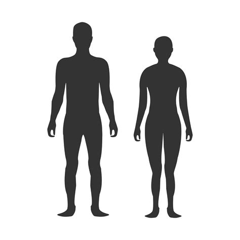 Male And Female Body Silhouette Healthcare Illustrations Creative