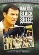 Robert Conrad -- in Ba Ba Black Sheep - oh my gosh--I absolutely loved ...