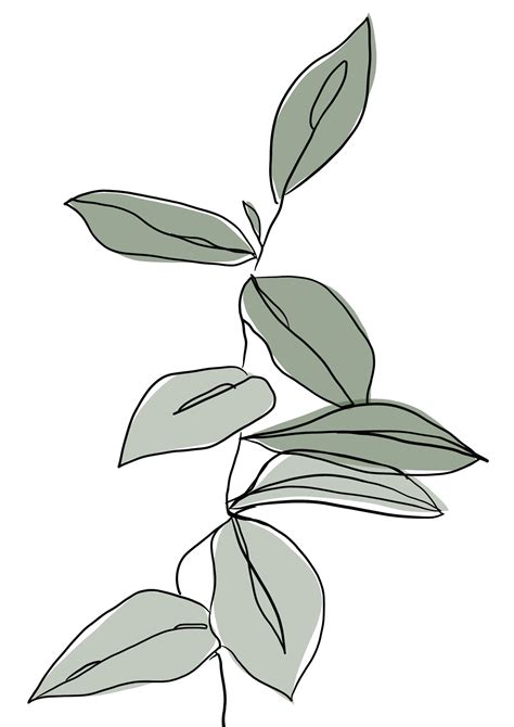 Simple Botanical Print Line Art Drawings Abstract Line Art Plant