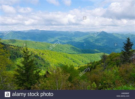 View Of Appalachian Mountains From Roan Mountain In North