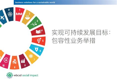 Now Available In Chinese Delivering On The Sustainable Development