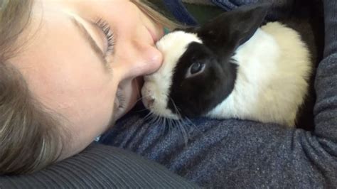How To Cuddle With A Rabbit Youtube