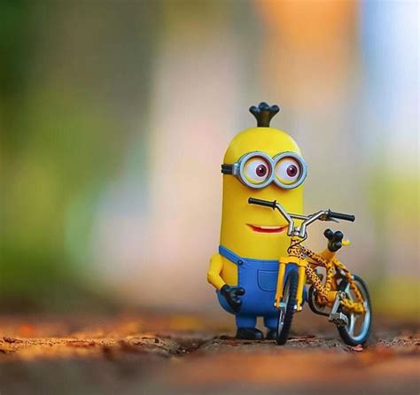Minion With Bicycle Minions Wallpaper Cute Minions Wallpaper Minions