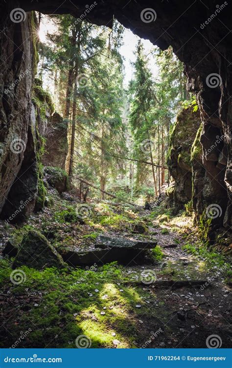 Exit To The Forest From Dark Rocky Cave Stock Photo Image Of Cavern
