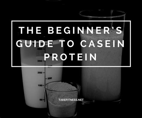 The Beginners Guide To Casein Protein Qanda Fitness Casein Protein