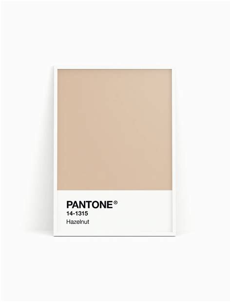 Pantone Print Pantone Poster Pantone Hazelnut Pantone Etsy