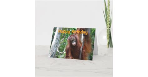Wildlife Happy Birthday Card Zazzle
