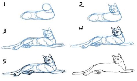 How To Draw A Cat Lying Down Animal Drawings Cat Drawing Tutorial