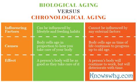 Difference Between Biological Age And Chronological Age