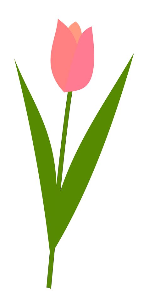 Tulip Clip Art Clipart Best