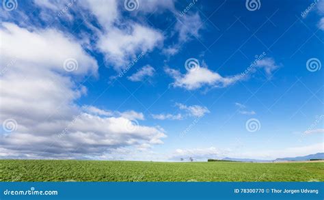 Green Fields And Blue Sky Stock Photo Image Of Rural 78300770