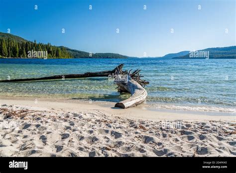 Priest Lake State Park Hi Res Stock Photography And Images Alamy