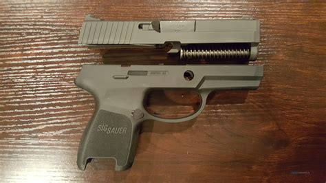 Sig Sauer P250 40 Subcompact Excha For Sale At