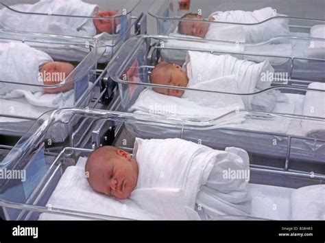 Babies In Hospital Nursery Stock Photo 19243927 Alamy