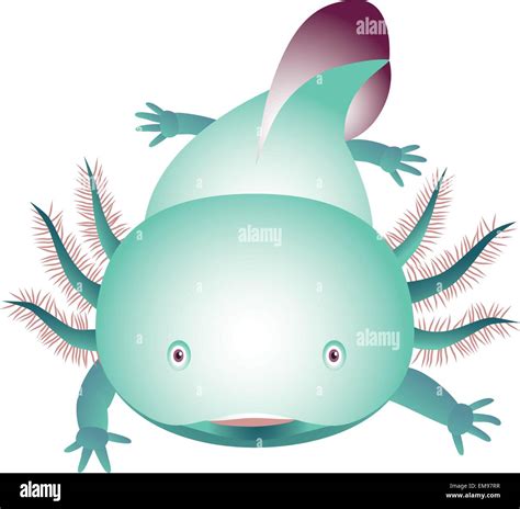Axolotl Imagen Vector De Stock Alamy