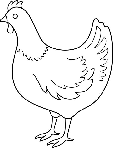 Hen Coloring Sheet Coloring Pages