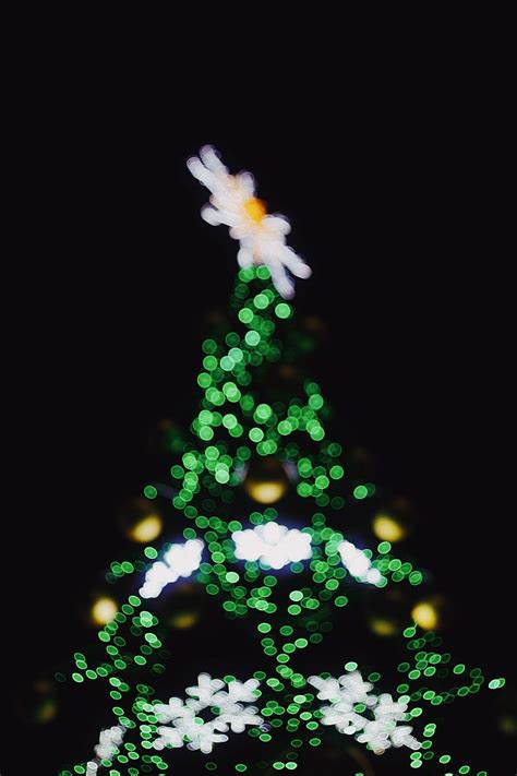 Tree Christmas Tree Lights And Green Hd Phone Wallpaper Peakpx