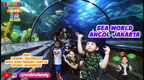 Sea World Ancol Jakarta Utara Terowongan Aquarium Raksasa Terbesar