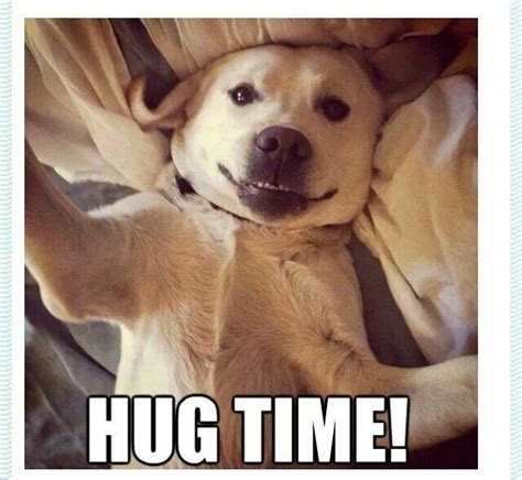 Big Hug Back Happy Dogs Cute Animals Silly Dogs