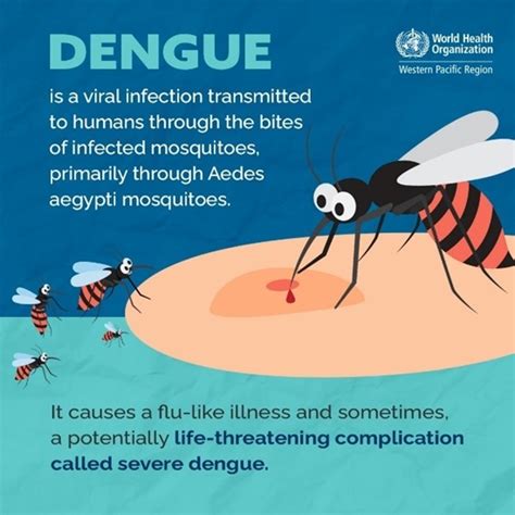 Dengue And Severe Dengue Wpro